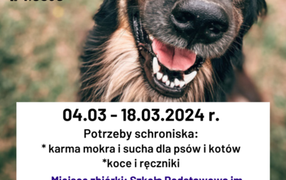 Zdjęcie do Zbi&oacute;rka charytatywna dla zwierząt ze Schroniska &quot;Przytulisko u Wandy&quot; w Ruścu! 