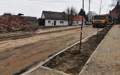 Zdjęcie do Więcej drzew w gminie 