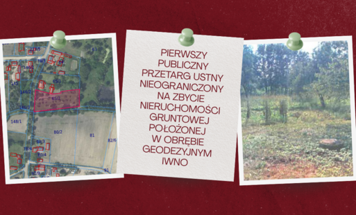 Zdjęcie do Gmina Kcynia ogłasza pierwszy publiczny przetarg ustny nieograniczony na zbycie nieruchomości gruntowej położonej w obrębie geodezyjnym Iwno, gm. Kcynia